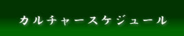 カルチャースケジュール